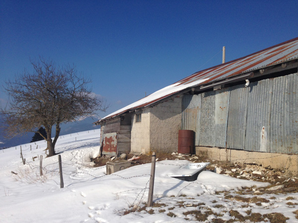 Esplorando una casara ad Asiago Esplorando una casara ad Asiago